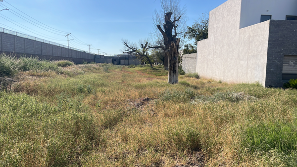 Terreno en venta en Las Trojes, Torreón — foto 2 de 3