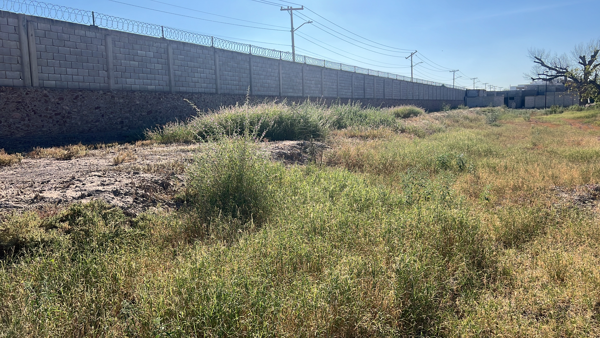 Terreno en venta en Las Trojes, Torreón — foto 3 de 3
