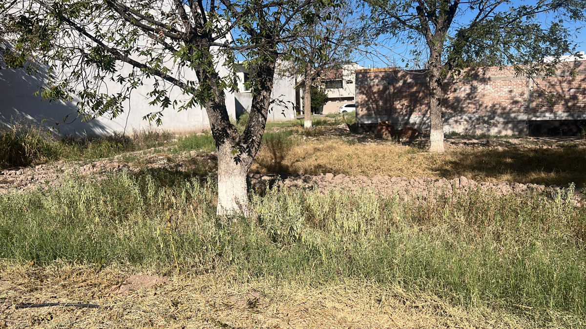 Terreno en Venta en Las Trojes, Torreón, Coahuila de Zaragoza