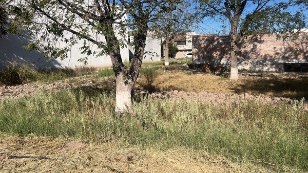 Terreno en venta en Las Trojes, Torreón — foto 2 de 3