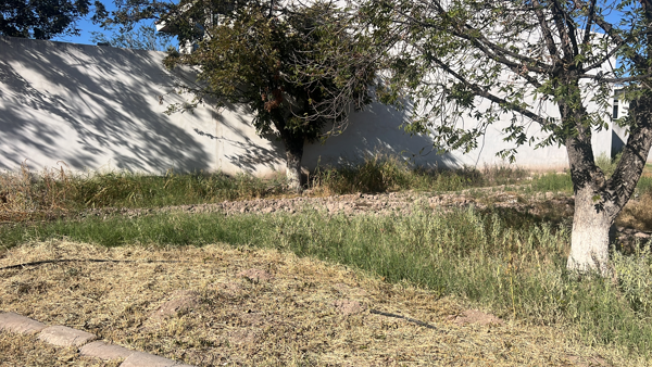 Terreno en venta en Las Trojes, Torreón — foto 3 de 3