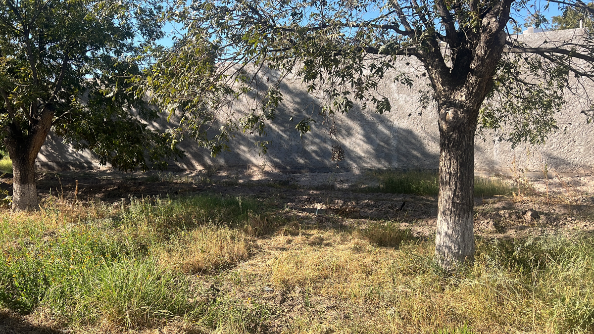 Terreno en Venta en Las Trojes, Torreón, Coahuila de Zaragoza