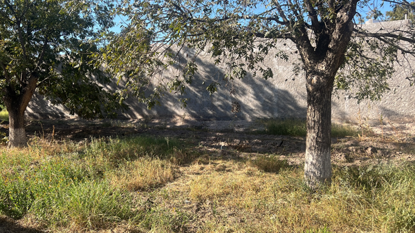 Terreno en venta en Las Trojes, Torreón, Coahuila de Zaragoza