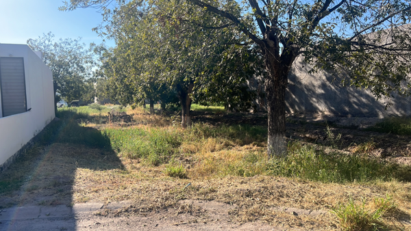 Terreno en venta en Las Trojes, Torreón — foto 2 de 3