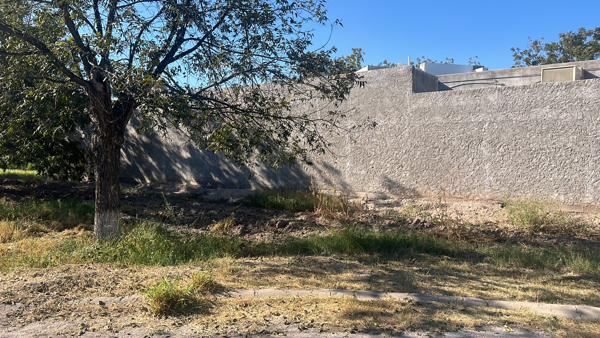 Terreno en venta en Las Trojes, Torreón — foto 3 de 3