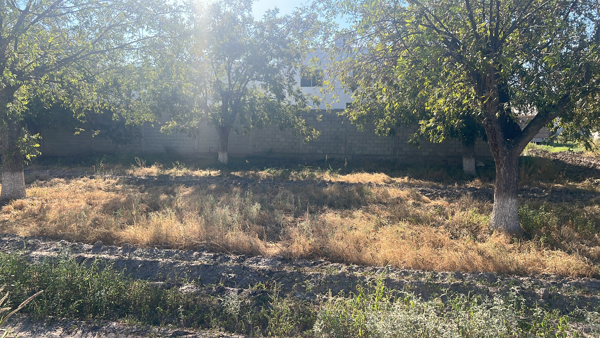 Terreno en venta en Las Trojes, Torreón — foto 2 de 3
