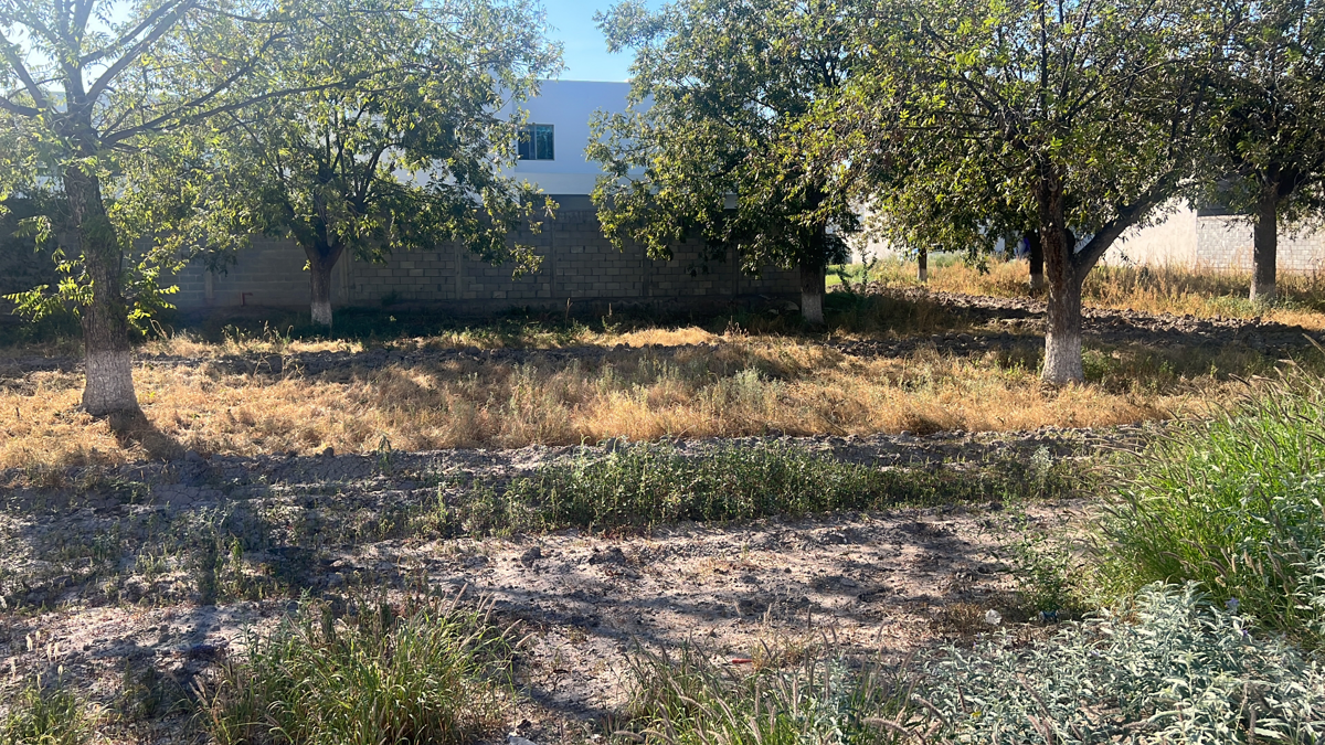 Terreno en Venta en Las Trojes, Torreón, Coahuila de Zaragoza