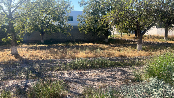 Terreno en venta en Las Trojes, Torreón, Coahuila de Zaragoza Terreno en venta en Las Trojes, Torreón, Coahuila de Zaragoza