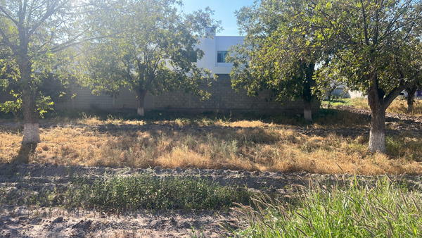 Terreno en venta en Las Trojes, Torreón — foto 3 de 3