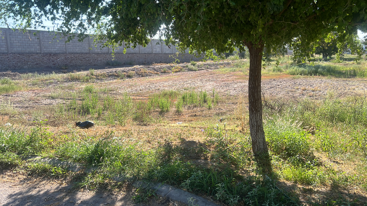 Terreno en Venta en Las Trojes, Torreón, Coahuila de Zaragoza