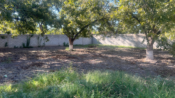 Terreno en venta en Las Trojes, Torreón — foto 2 de 2