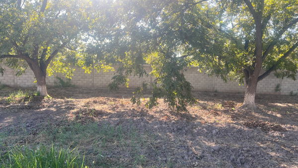 Terreno en venta en Las Trojes, Torreón — foto 2 de 2