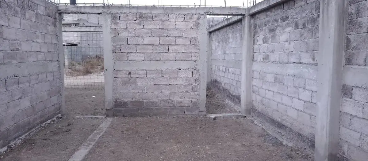 Imagen 2