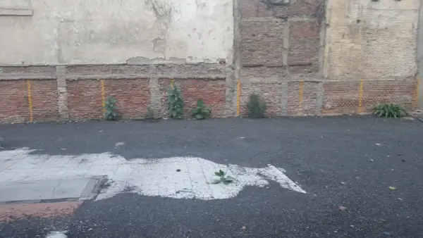 Terreno en renta en Cuauhtemoc, Cuauhtémoc — foto 3 de 9