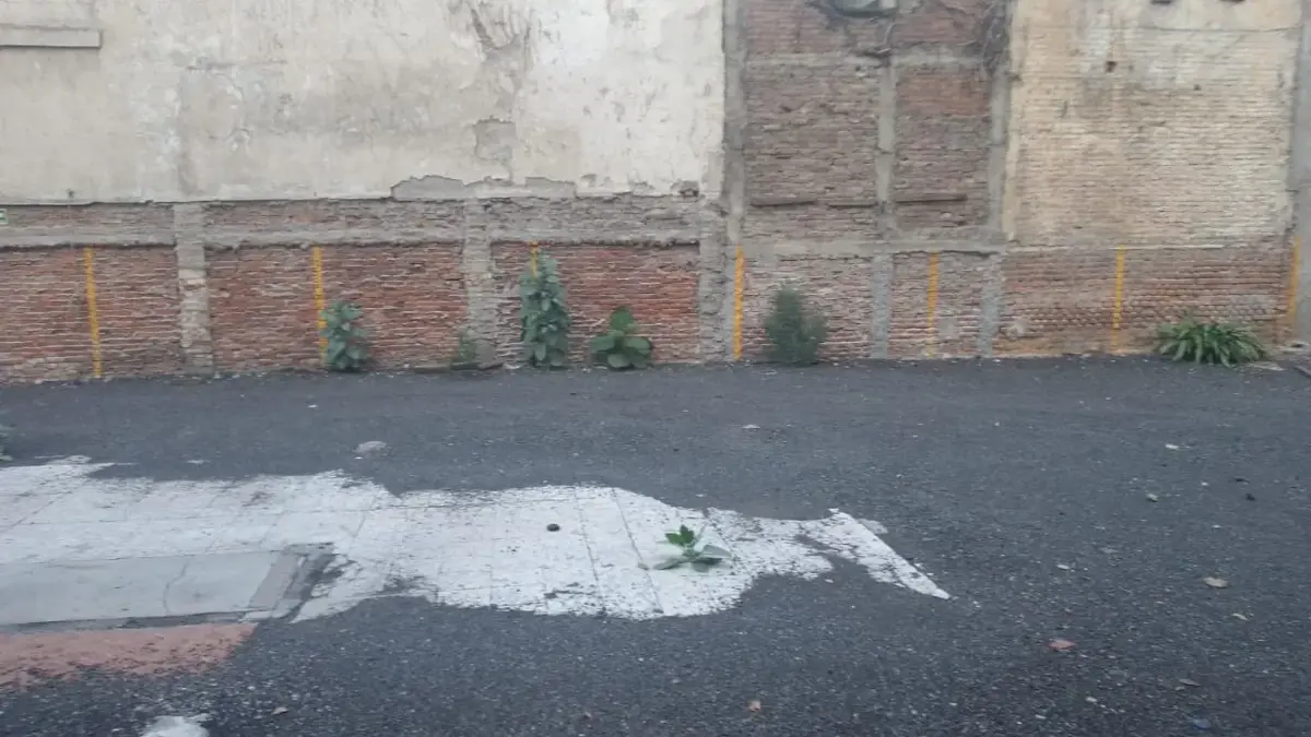 Terreno en renta en Cuauhtemoc, Cuauhtémoc — foto 1 de 9