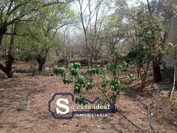Terreno en venta en Chichco (Chisco), Tepoztlán — foto 3 de 3