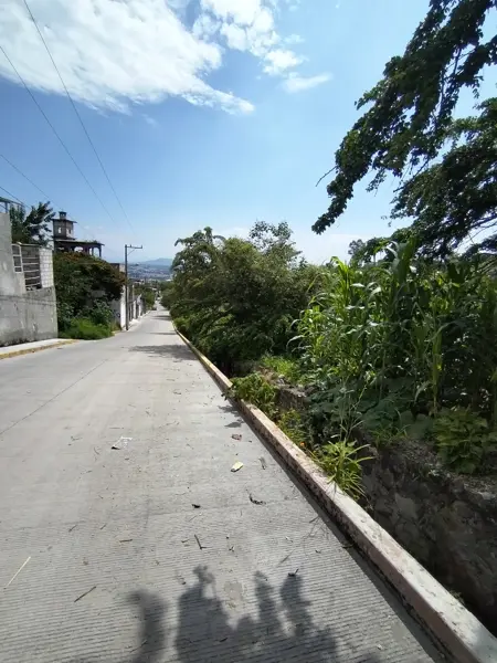 Terreno en venta en Tres de Mayo, Emiliano Zapata — foto 3 de 11
