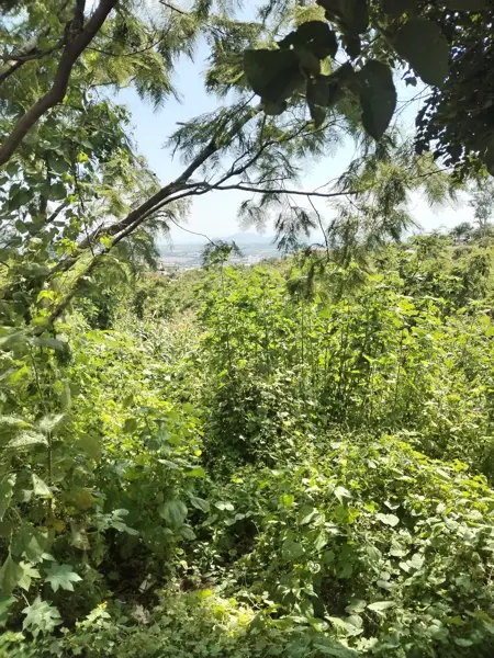 Terreno en venta en Tres de Mayo, Emiliano Zapata — foto 2 de 11