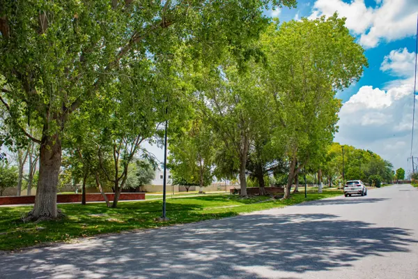 Terreno en venta en Las Trojes, Torreón — foto 3 de 5