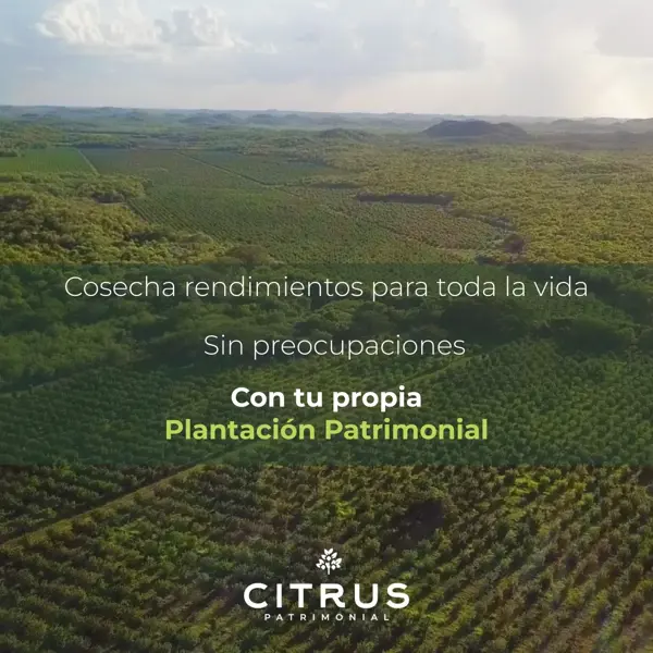 Terreno en Kakalnah, Tzucacab, Yucatán