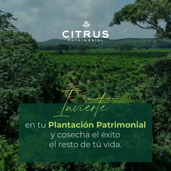 Terreno en venta en Kakalnah, Tzucacab — foto 2 de 12