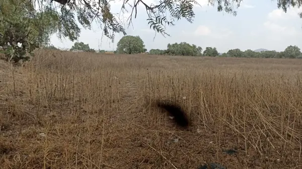 Terreno en venta en Santa Lucia, Zumpango — foto 2 de 9