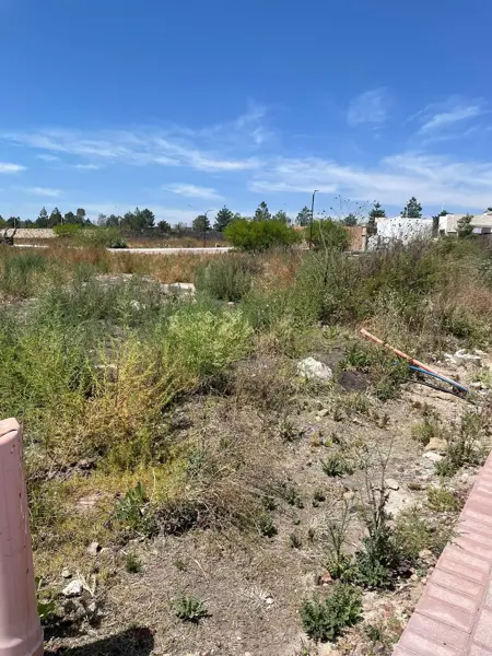 Terreno en venta en Apaseo El Alto Centro, Apaseo El Alto — foto 3 de 19
