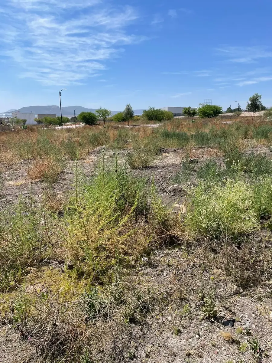 Terreno en venta en Apaseo El Alto Centro, Apaseo El Alto — foto 1 de 19