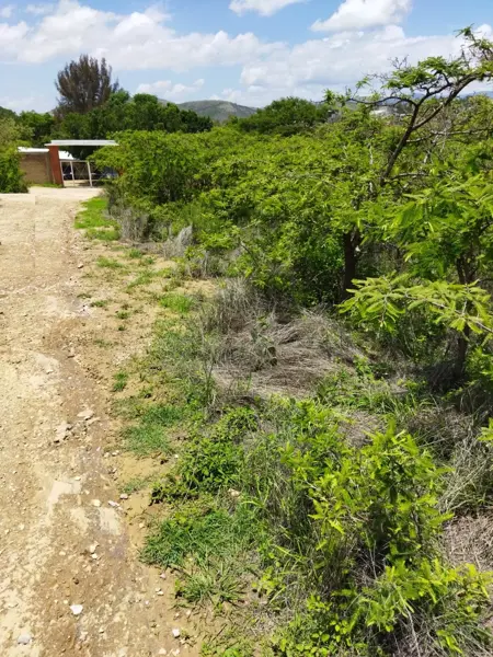 Terreno en venta en San Lorenzo Cacaotepec, San Lorenzo Cacaotepec — foto 2 de 5