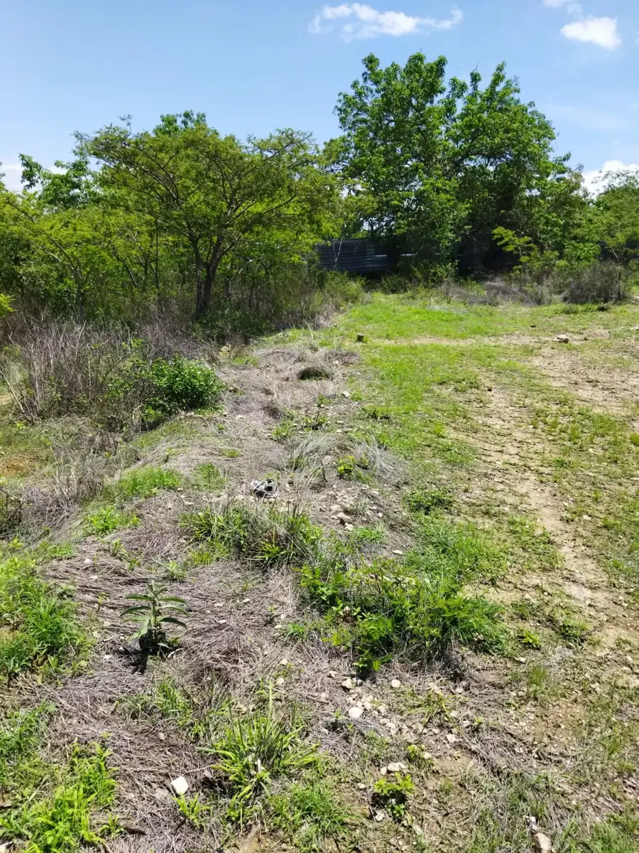 Terreno en venta en San Lorenzo Cacaotepec, San Lorenzo Cacaotepec — foto 1 de 5