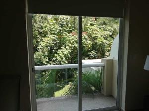 Departamento en renta en Analco, Cuernavaca — foto 2 de 43