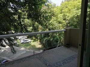 Departamento en renta en Analco, Cuernavaca — foto 3 de 43
