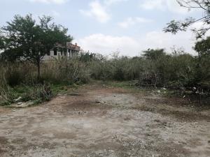 Terreno en venta en Residencial Yautepec, Yautepec — foto 2 de 2