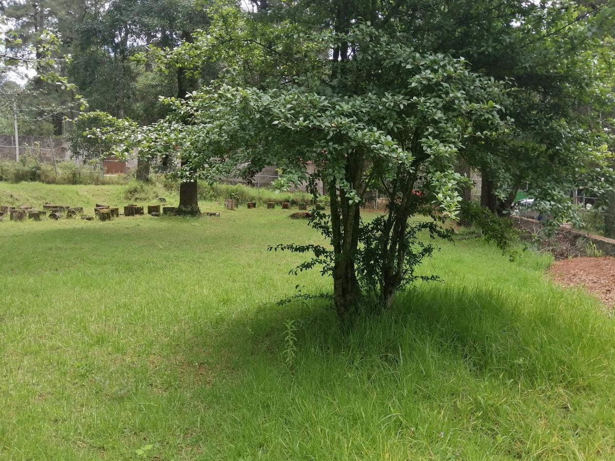 Terreno en venta en Sierra Encantada, Huitzilac — foto 1 de 15