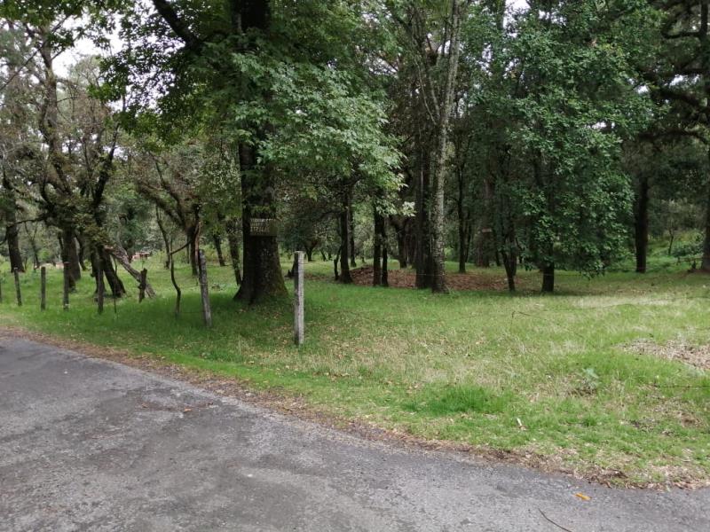 Terreno en venta en Sierra Encantada, Huitzilac — foto 1 de 9