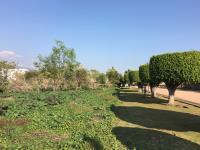 Terreno en venta en Lomas de la Herradura, Cuernavaca — foto 3 de 11