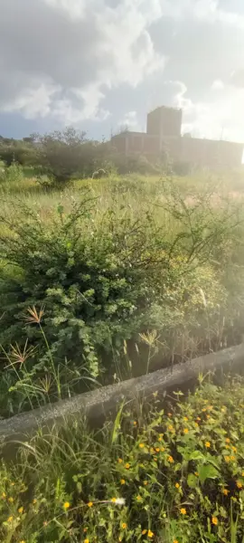 Terreno en venta en La Aldea, Morelia — foto 3 de 6