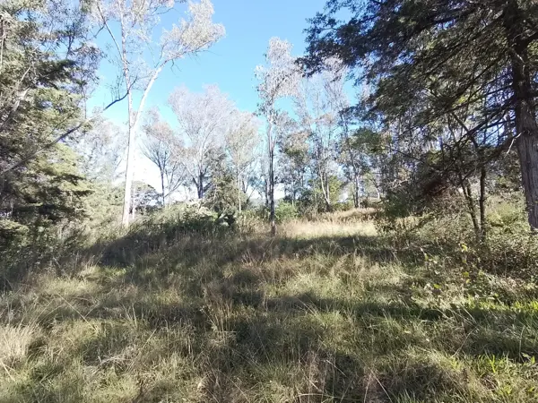 Terreno en venta en Álamos Haras, Puebla, Puebla