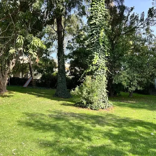 Terreno en venta en La Querencia, San Pedro Cholula — foto 3 de 4