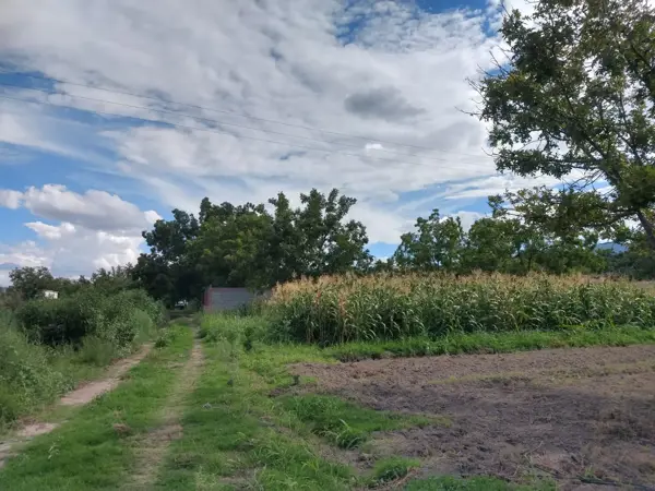 Terreno en venta en Del Perico, Parras — foto 2 de 6