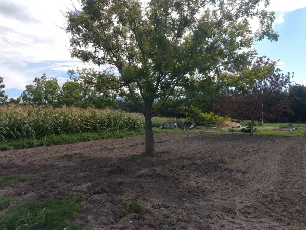Terreno en venta en Del Perico, Parras — foto 3 de 6
