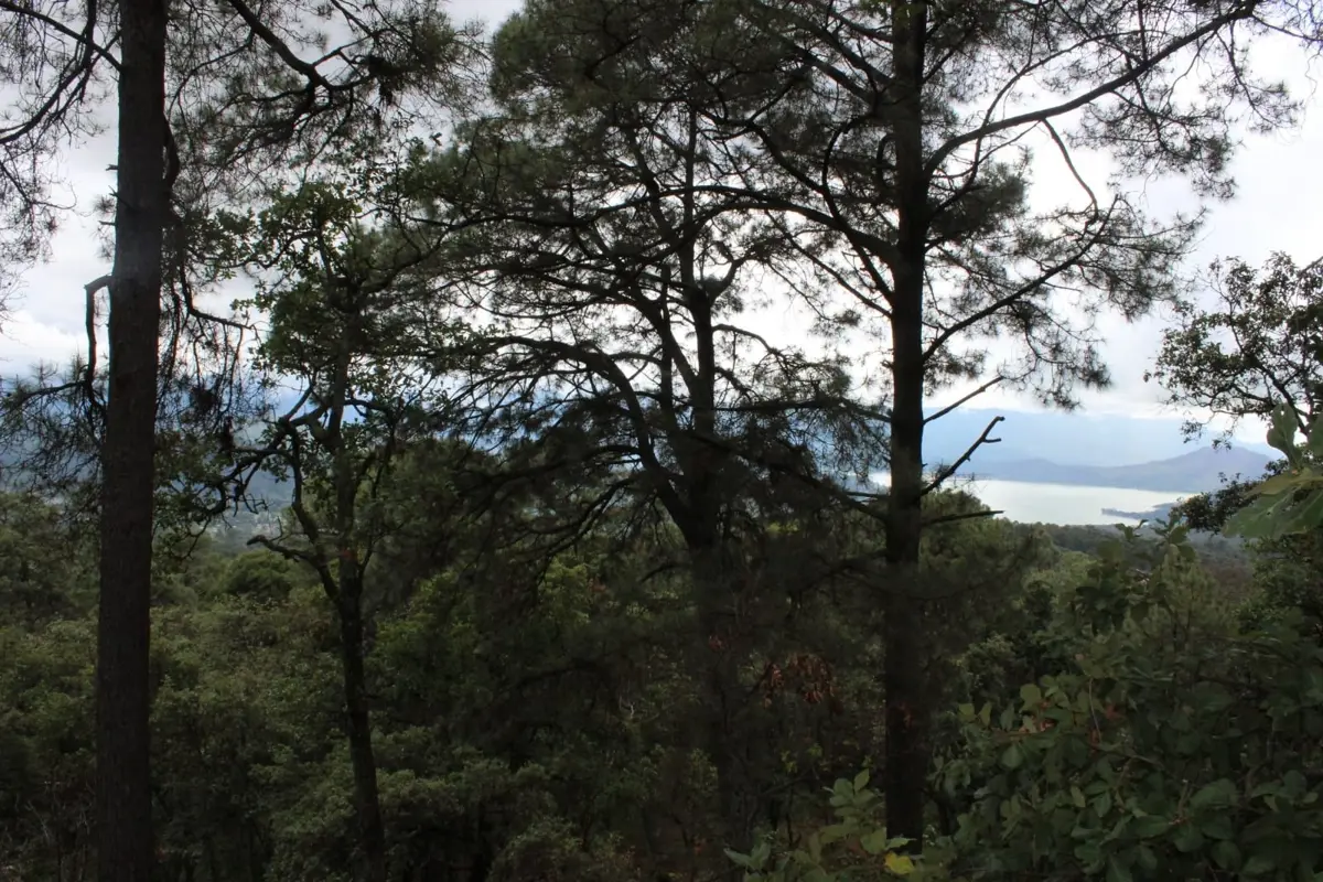 Terreno en venta en San Gabriel Ixtla, Valle de Bravo — foto 1 de 7