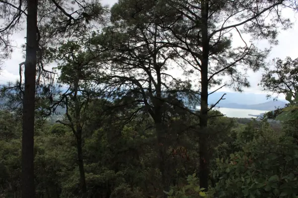 Terreno en venta en San Gabriel Ixtla, Valle de Bravo, México