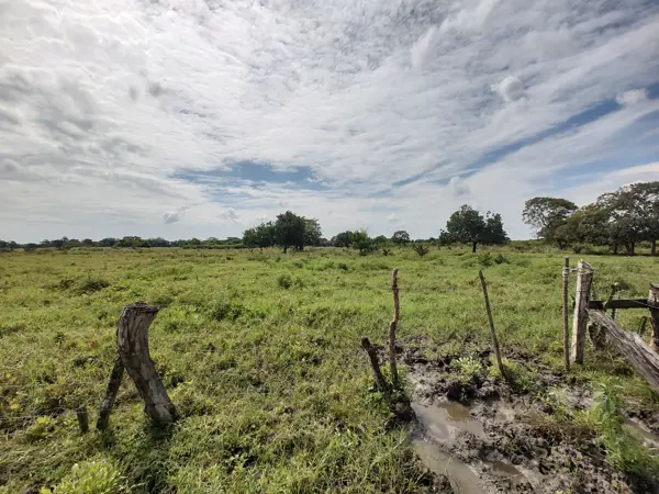 Terreno en venta en Tlalixcoyan, Tlalixcoyan — foto 2 de 12