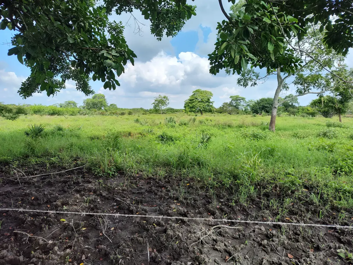 Terreno en venta en Tlalixcoyan, Tlalixcoyan — foto 1 de 12