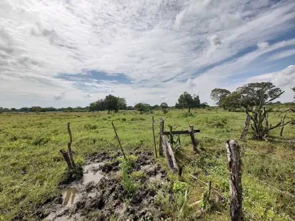 Terreno en venta en Tlalixcoyan, Tlalixcoyan — foto 3 de 12