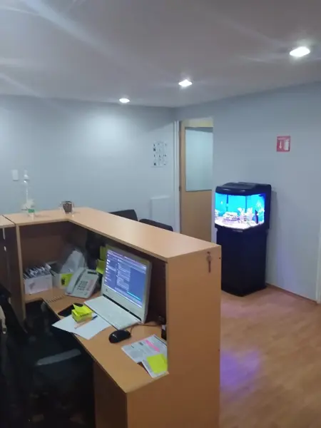 Oficina en renta en Polanco V Sección, Miguel Hidalgo — foto 3 de 6