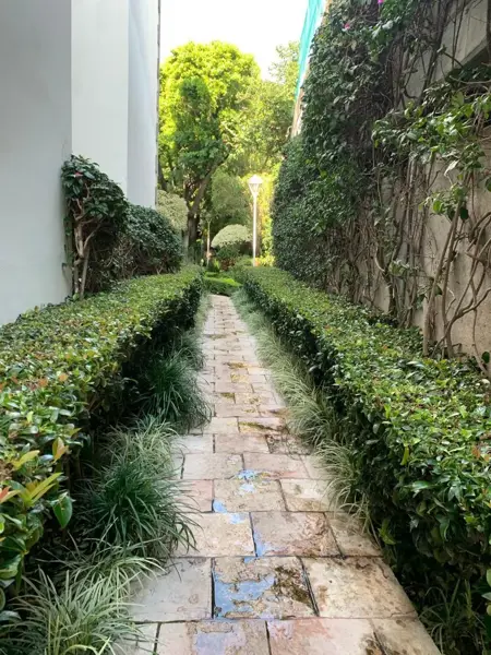 Departamento en renta en Cuernavaca Centro, Cuernavaca — foto 3 de 23