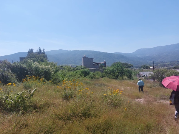Terreno en venta en El Puentecito, Malinalco, México