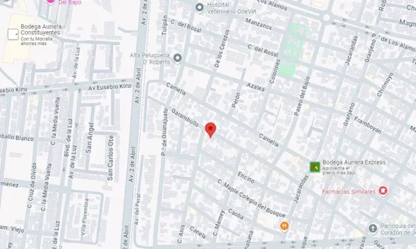 Casa en venta en Bosques del Sol, Celaya — foto 3 de 10
